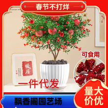 һ�����lʯ������ʯ�������������҃�ͥԺ�ϱ����ļ�ˮ����