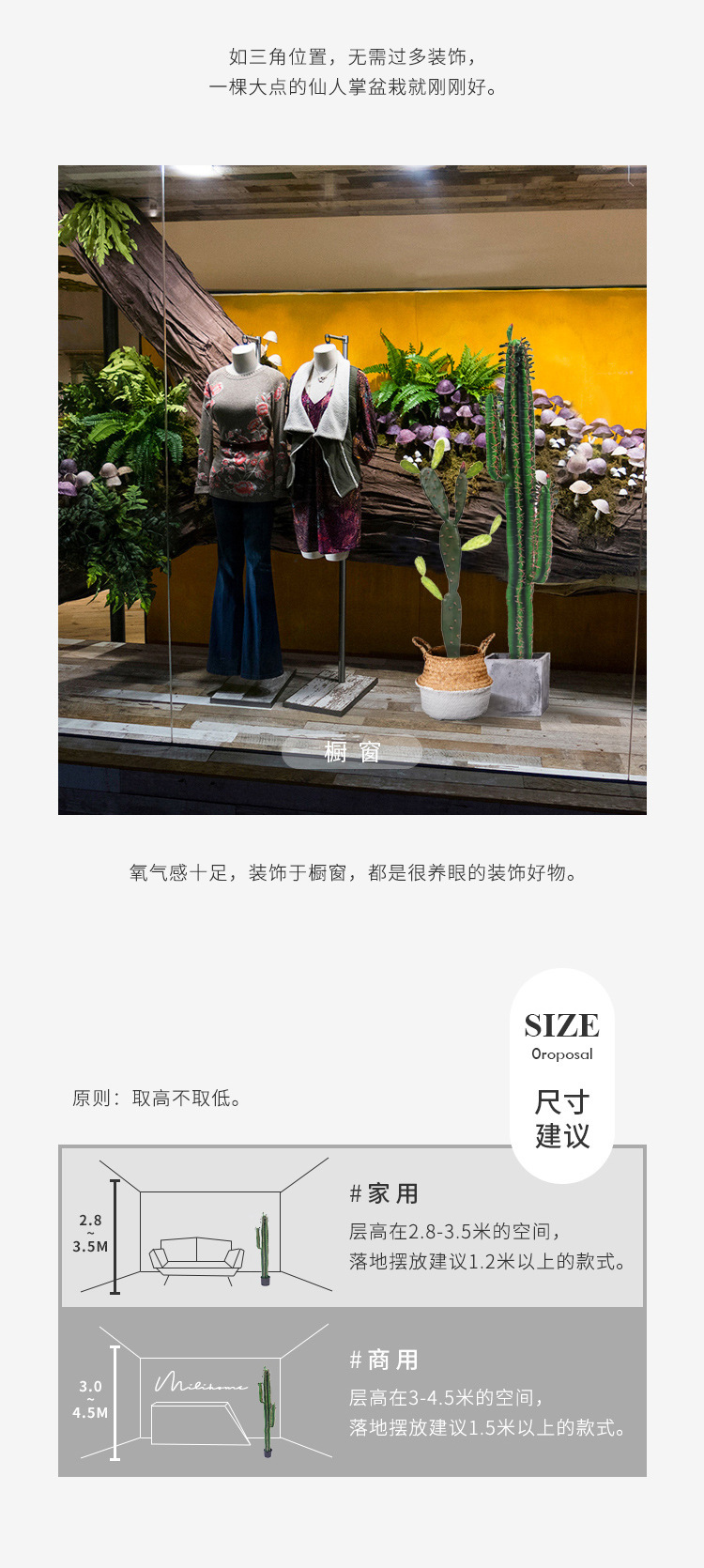 描述图_6.jpg