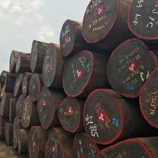 ���Ҹ��M�ڷ��޼t���}�� �t�Fľԭľ �O�Ų˰��� ����ذ���