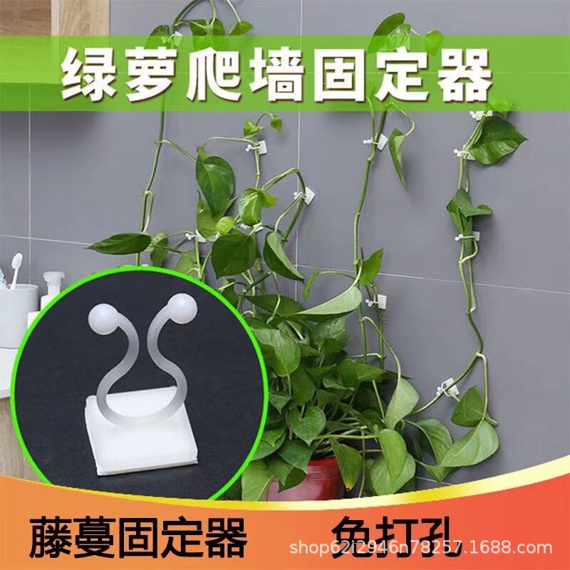 グリーンラスクレードラー固定具、蔓植物、緑の植物、壁クライミングフック、ワイヤー固定バックル、クライミングクレードル固定クリップ|undefined