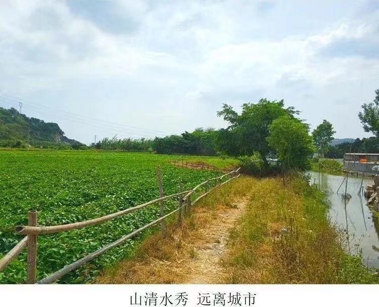 8f764dad-aeb8-4996-a87d-94012ff658a0.jpe