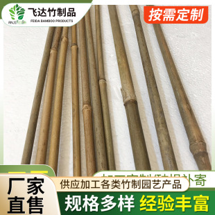 Wholesale Moso Bamboo Small Bamboo Poles Agricultural Bamboo Poles Landscaping Support Poles Greenhouse Bamboo Poles Complete Specifications