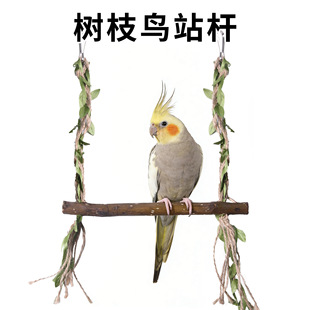 �B��Ʒ�W�^������ǧ���ĵ�����P��Ƥ����ĥצ�B�\����b��쾰