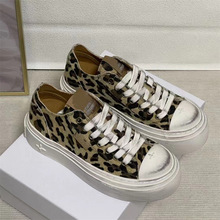 ʮ�ֻ�����Ь2025���ļ��r���¿�A�^�̽����߰�ЬŮ�����e�K�KЬ