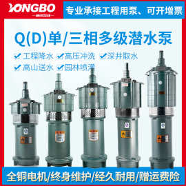 QD多级潜水泵220v抽水泵灌溉水泵380v降水增压泵变频自吸自吸式