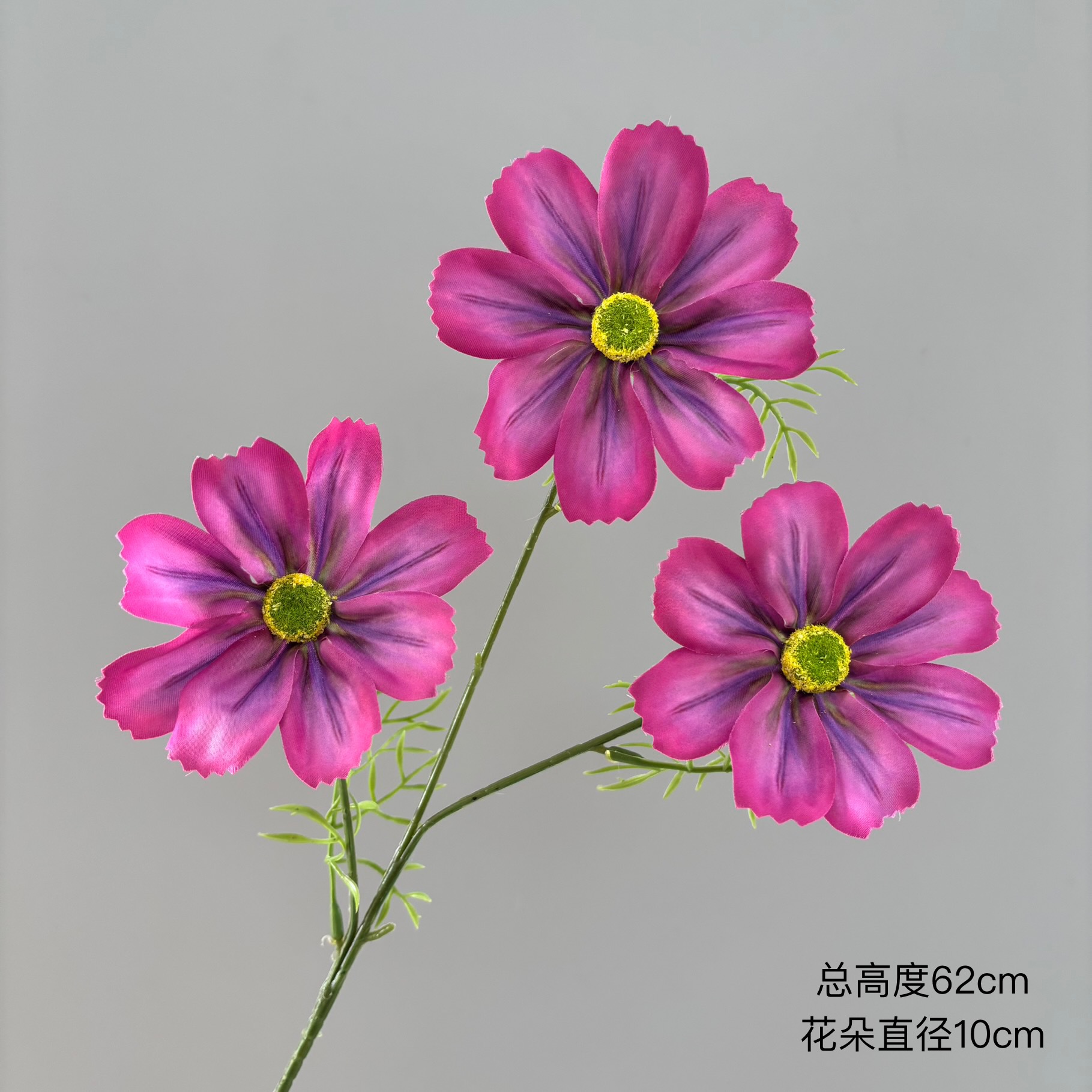 밝은 보라색