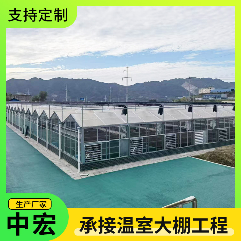 Seedling glass greenhouse, constant temperature and humidity seedling cultivation, fully automatic sunshade and ventilation glass greenhouse project Seedling glass greenhouse, constant temperature and humidity seedling cultivation, fully automatic sunshade and ventilation glass greenhouse project