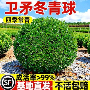 �lì���������ͥԺ���^ֲ���ļ�����;S�o�����ͺ���Ȼ���xֲ��