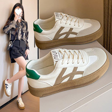 2024Ӗ¿＾ŮWٴ\eЬpܛС_ƽСЬ