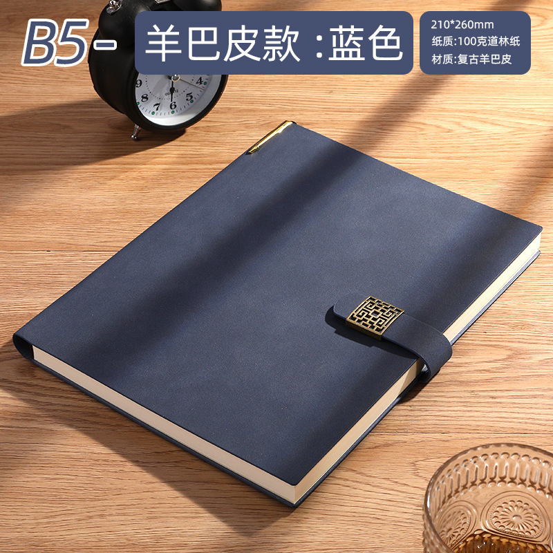B5 blue pen plug -in