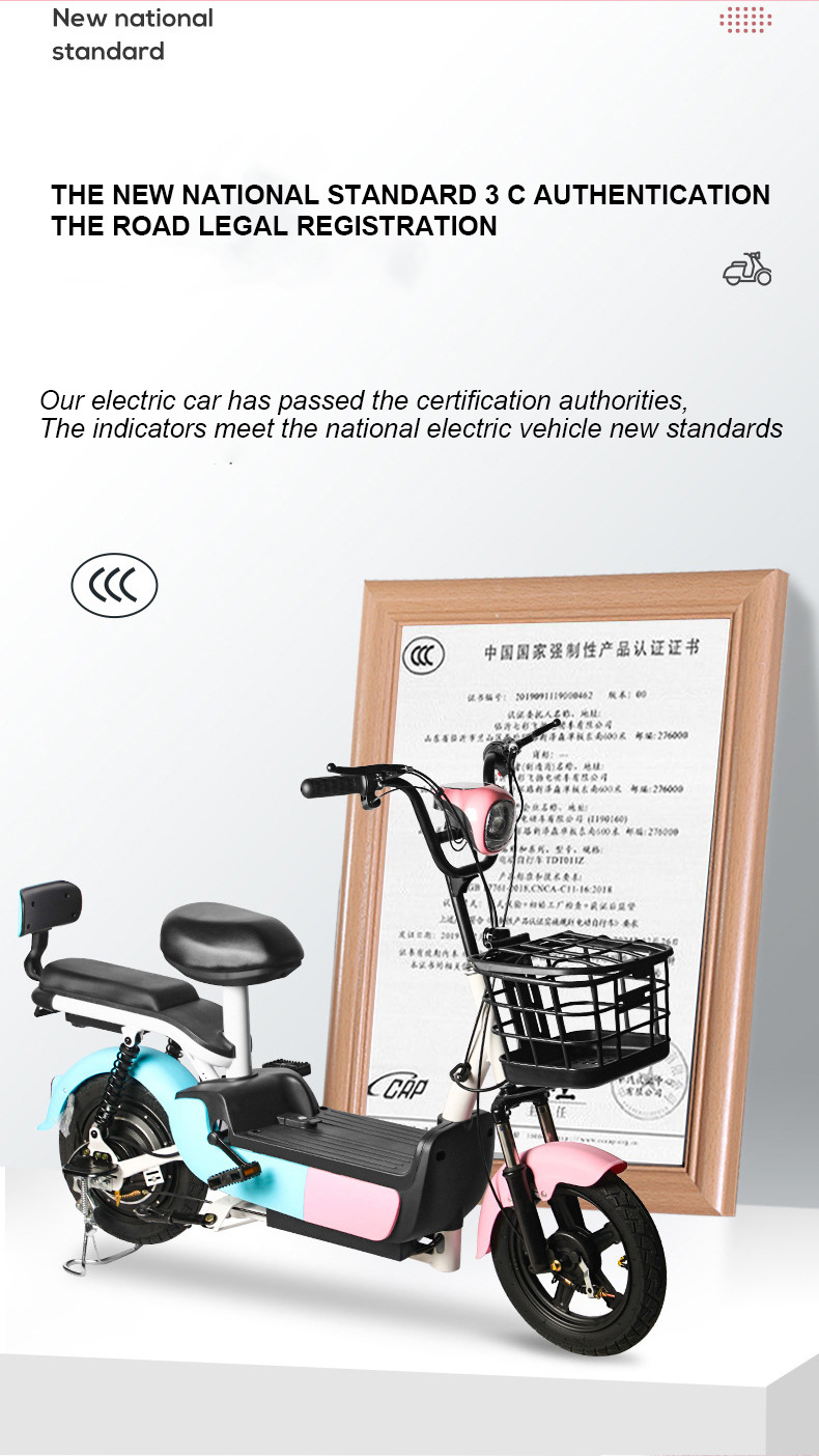 Custom Electric Bicycle, New National Standard, 48V 60V