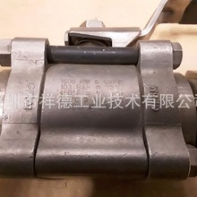 ����Swagelok�������60ϵ����Ƭ����ʽ2NPT���ݼy���y SS-67TF24