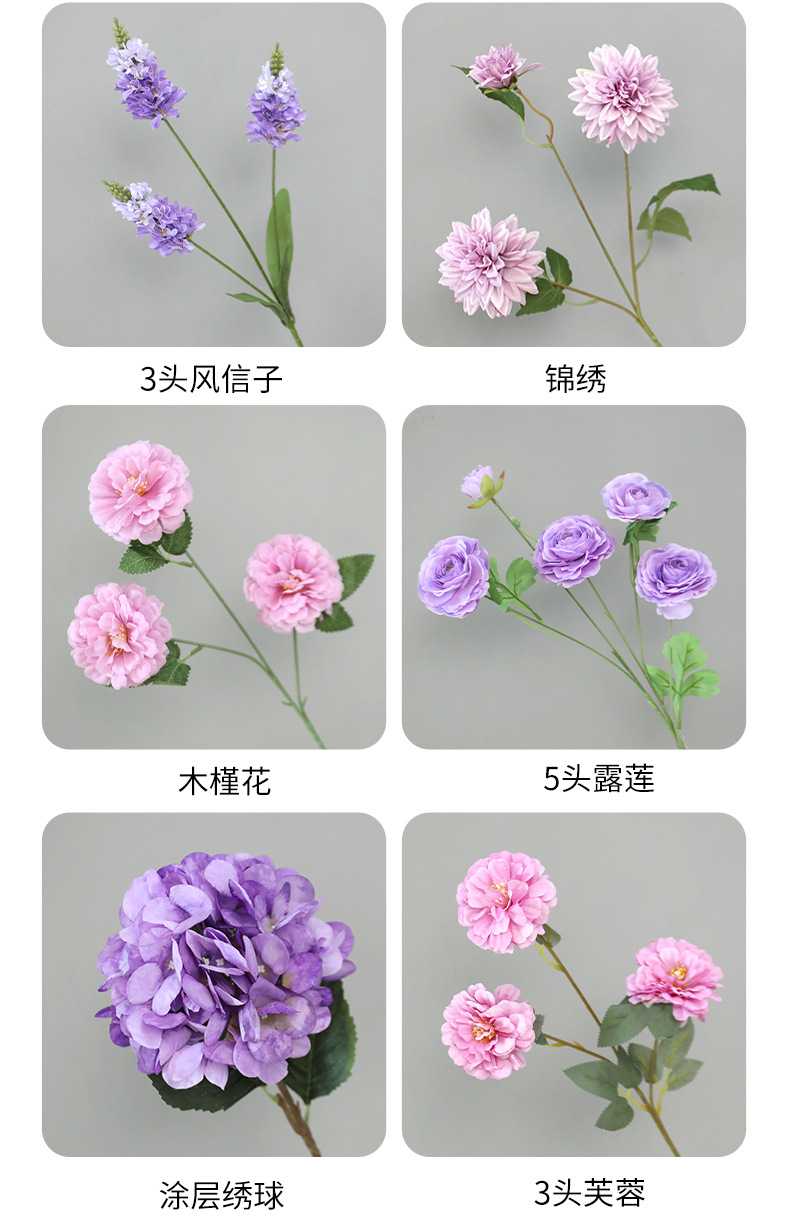 详情图