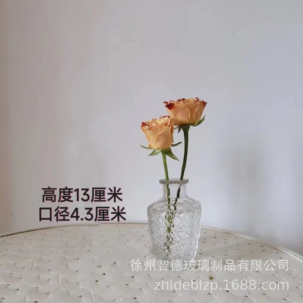 INS estilo florero de vidrio simple arreglo de flores transparente flor hidropónica planta verde florero sala de estar mesa de comedor Decoración