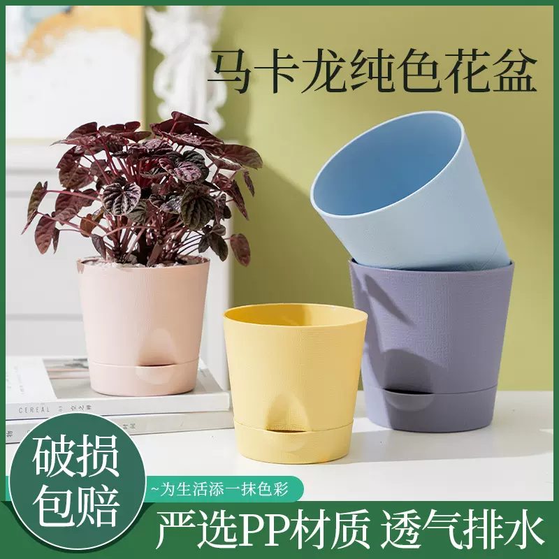 北欧自吸水懒人花盆桌面种植绿萝圆形盆栽室内创意简约双层花盆