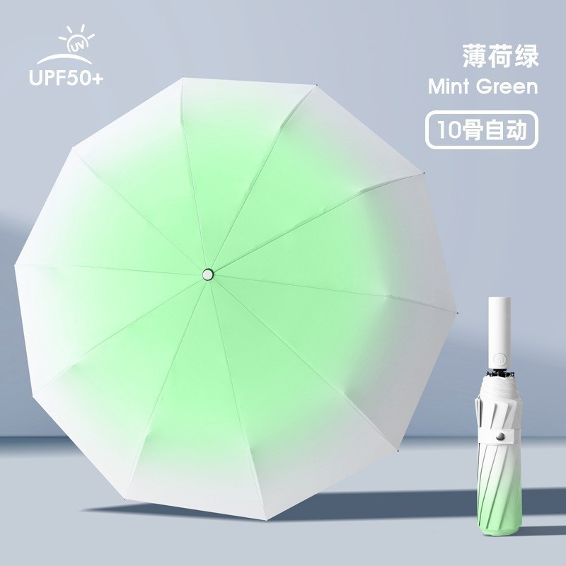 전자동 [10본 2+1] 민트그린