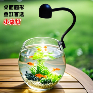 Special Lamp for Small Fish Tank USB Plug Ornamental Lighting Round Mini Atmosphere Night Light Colorful Dimming