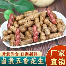 即食水煮花生带壳卤汁五香盐水卤香卤味花生啤酒伴侣大排档下酒菜