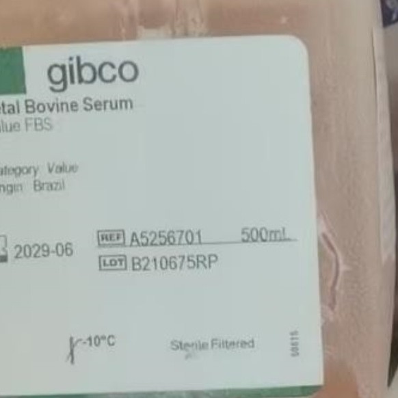 A5256701赛默飞Gibco胎牛血清巴西血源500ml
