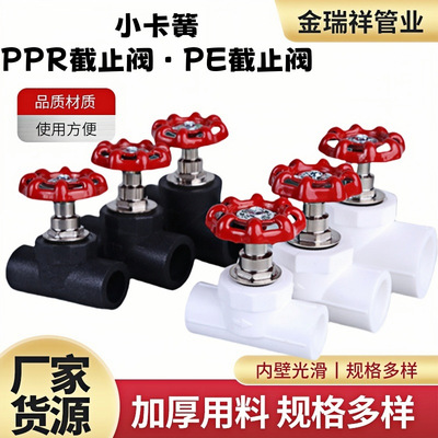 厂家直营PE截止阀PPR球阀工程灌溉4分6分闸阀家装水管阀门配件|ms