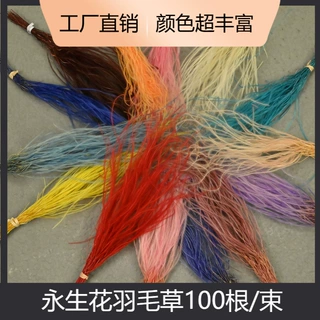 幻花永生花母亲节永生花diy羽毛草配花材料迷雾草干花仙气十足