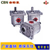 Dump Truck Gear pumps CBN-E325 , CBN-F325 Hydraulic pump Shanghai Power Powerful