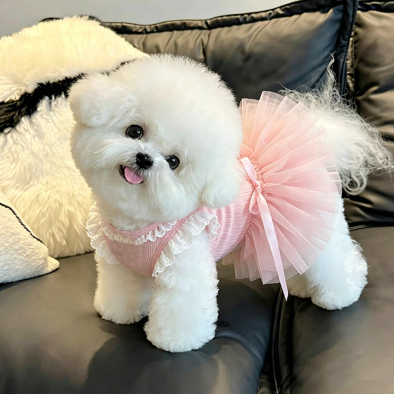 Pet Clothing Summer Thin Princess-Style Lace Tutu Dress for Bichon, Teddy, Schnauzer, with Leash Attachment Pet Clothing Summer Thin Princess-Style Lace Tutu Dress for Bichon, Teddy, Schnauzer, with Leash Attachment