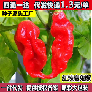 ����ħ�������펧����l؛�ļ��̨�������t�S�����N����