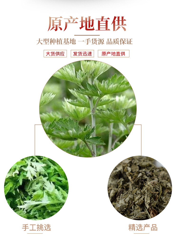 Dried Mugwort Leaf Ai Ye 500g Chinese Herbal Bath Foot Soak and Smoke Cleansing Herb quality and texture