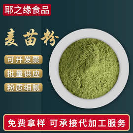 麦苗粉现货大麦若叶青汁粉厂家代餐粉 青团粉 大麦苗粉