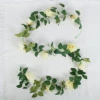 10 large champagne rose vine
