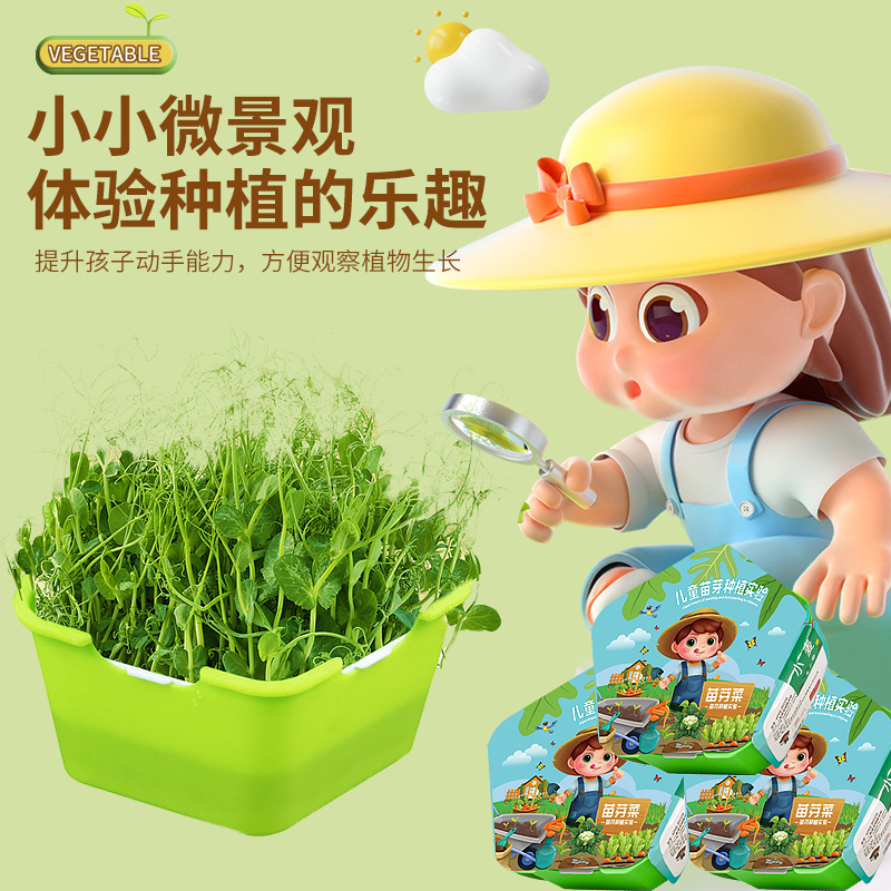 Children's planting small potting kit smart toy scientific experiment sprout vegetable seedling cultivation soilless culture vegetable hydroponics wholesale