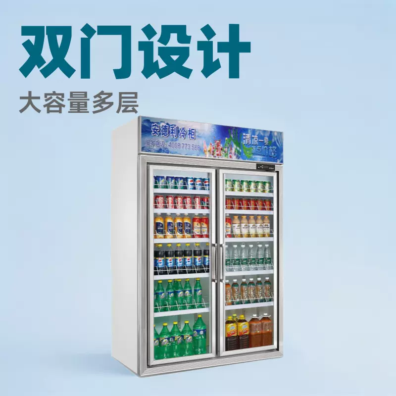 十年匠心品质饮料冷藏展示柜批发双门冰柜超市冷柜保鲜柜厂家安德