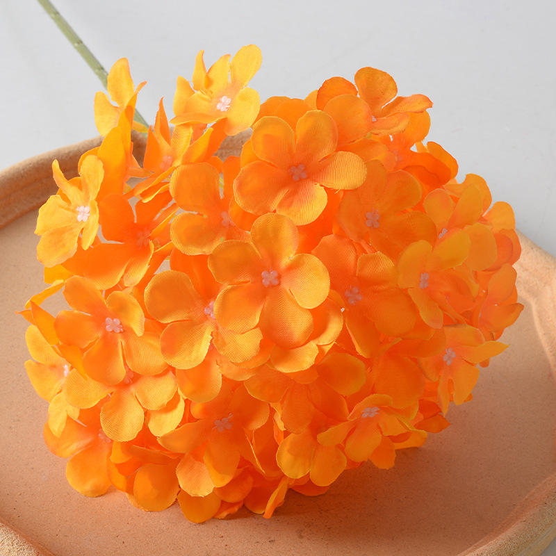 Naranja Hortensia Lollipop