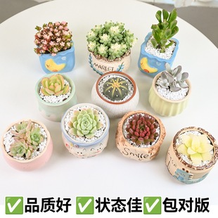 ֲM҃С¶ҵմɻϘ߶Gֲ