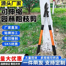 手锯、木工锯;修枝剪;耙子