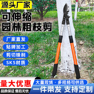 Coarse branch shears vigorously retractable greening garden pruning shears fruit tree pruning shears lengthened SK5 garden shears fruit branch shears