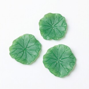������~������DIY�Ʒ����Gɫֲ���ֹ�������Ϻɻ��l���b�