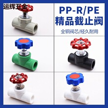 ppr����ʽ��ֹ�yPPRˮ���y�T20 25�ķ�����PPRˮ�ܹܼ������ɫ