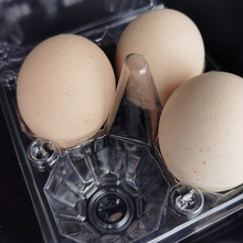 �S�����l����͸���u�������а��b�ж�Ҏ���u����һ���������u����