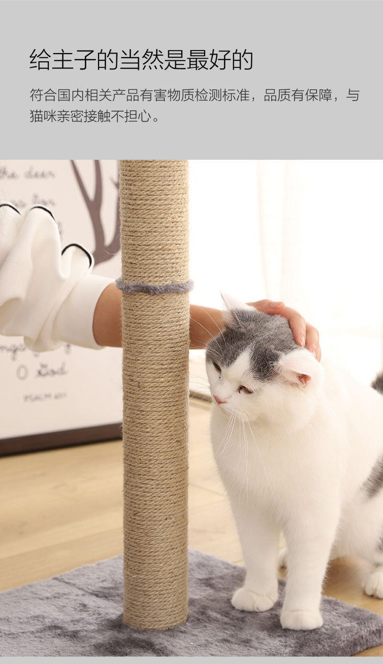 小兽星猫爬柱_08.jpg