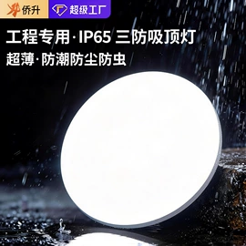 吸顶灯;吊灯;风扇灯