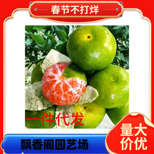 �c�ʵ۸̽�����ؕ����ɰ�ǽ�������޽ӹ��������Ե��Ԯ���Y��