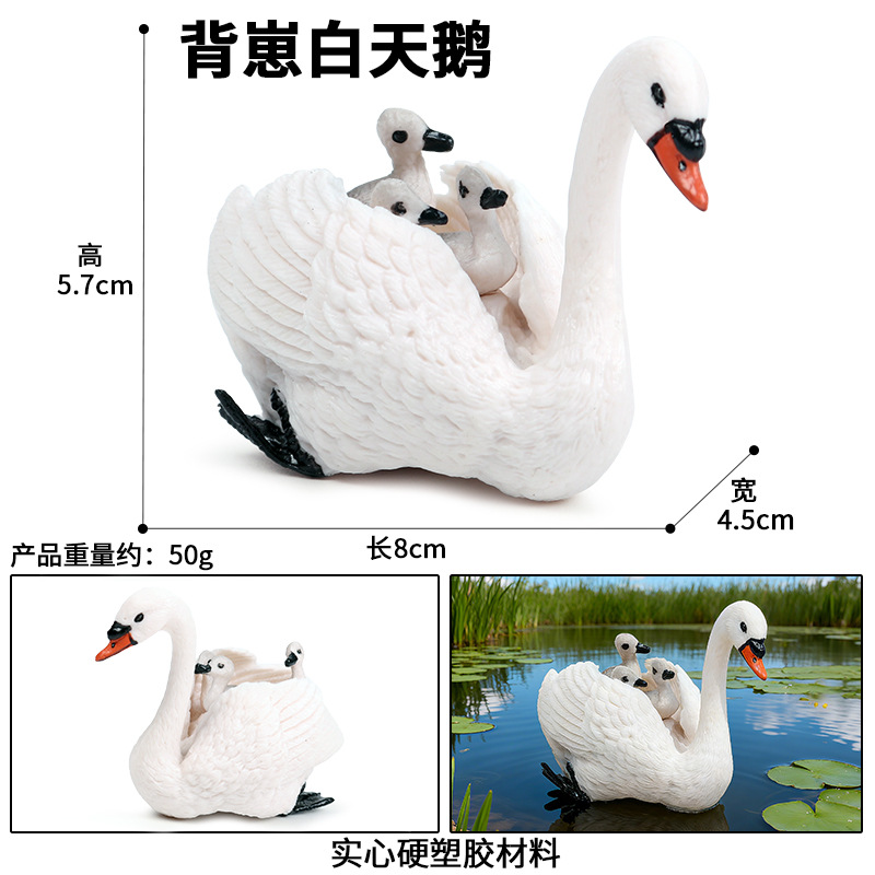 Cisne M-345 con bebé