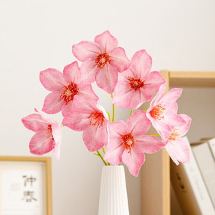 �������m���ٻ����������[���͏d�߼��в�����ˇ�Ҿ������b[�O