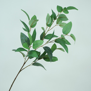 �����֦��c�ٻ��b͏d���ҷ��g��ƿ�廨�Gֲ���~ܛ�b�廨�[��