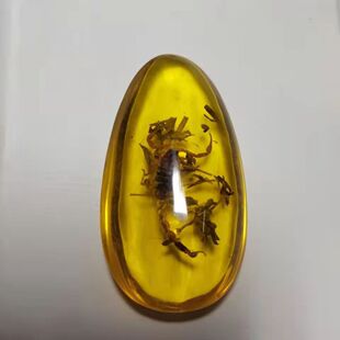 �S�Ҵ������l��Ϟ�����ְѼ�.ϐ��.֪�˶����x