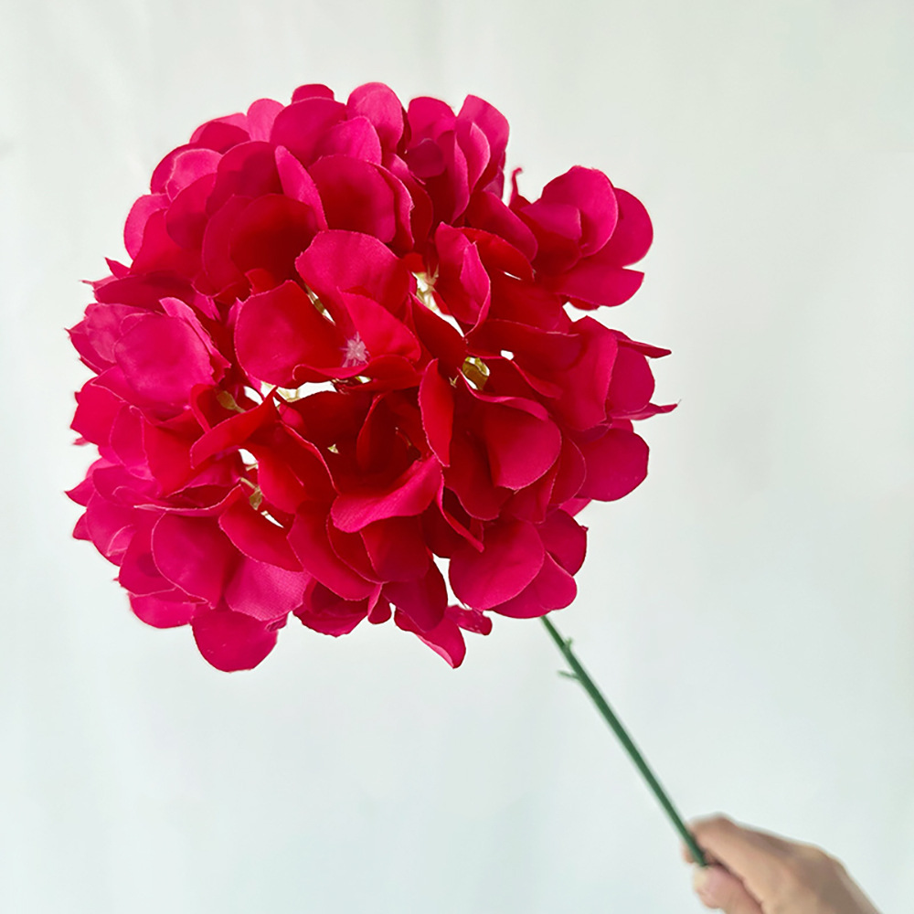 항공우주 싱글 수국 로즈 레드