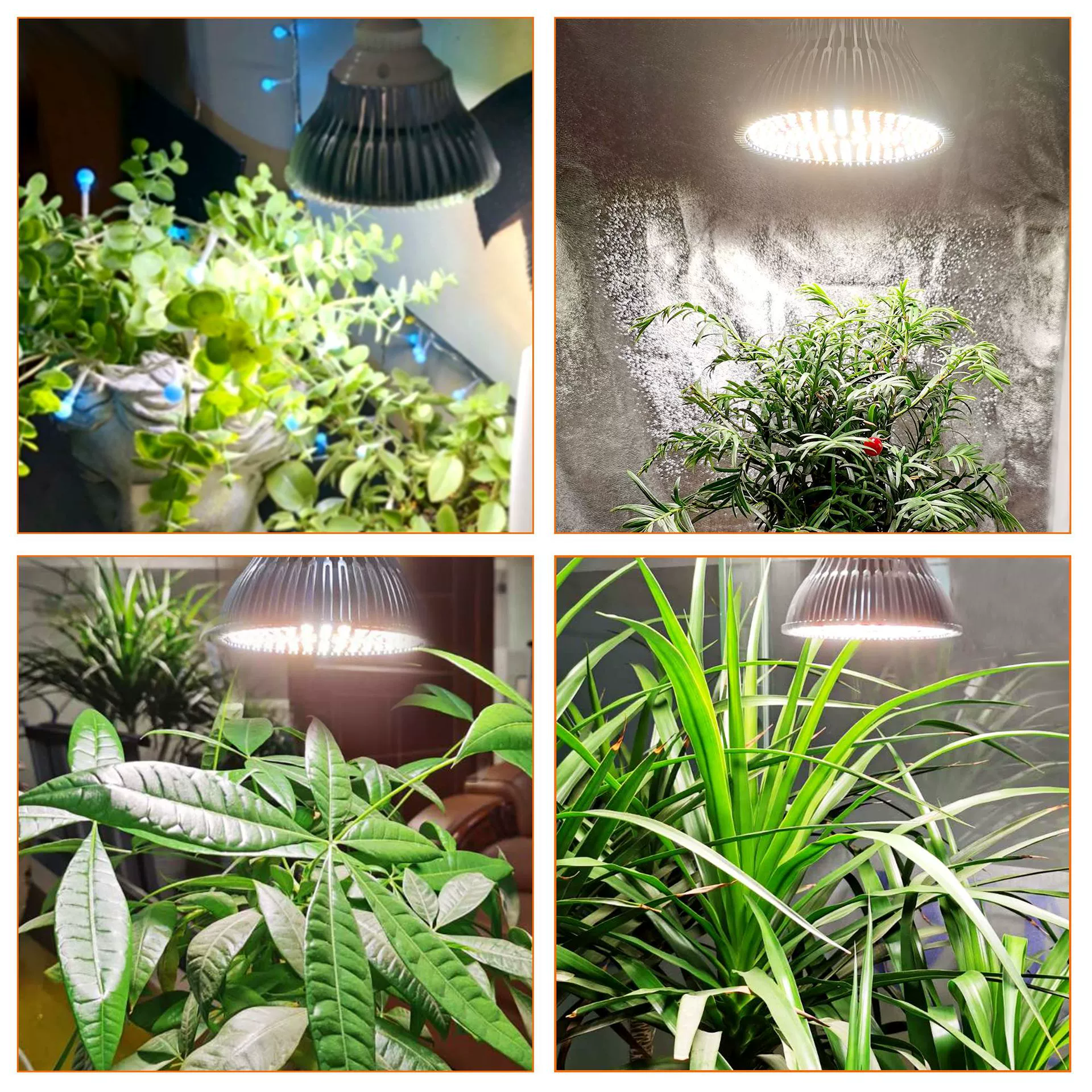 (Cross-border trading), socket, plant lamp, fill light, 180W, comfortable light spectrum