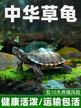 ���A�������wС���������^�p���������B�ͻ��L������������S��